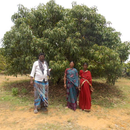 Farm Forestry